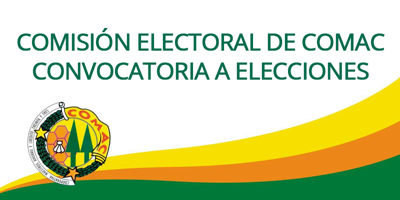 elecciones2020