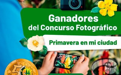 Ganadores – Concurso fotográfico «Primavera en mi ciudad»