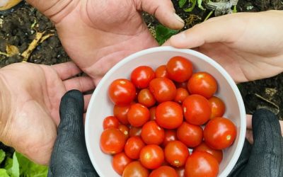 Concurso fotográfico 2022 «Vivenciar el trabajo cooperativo»